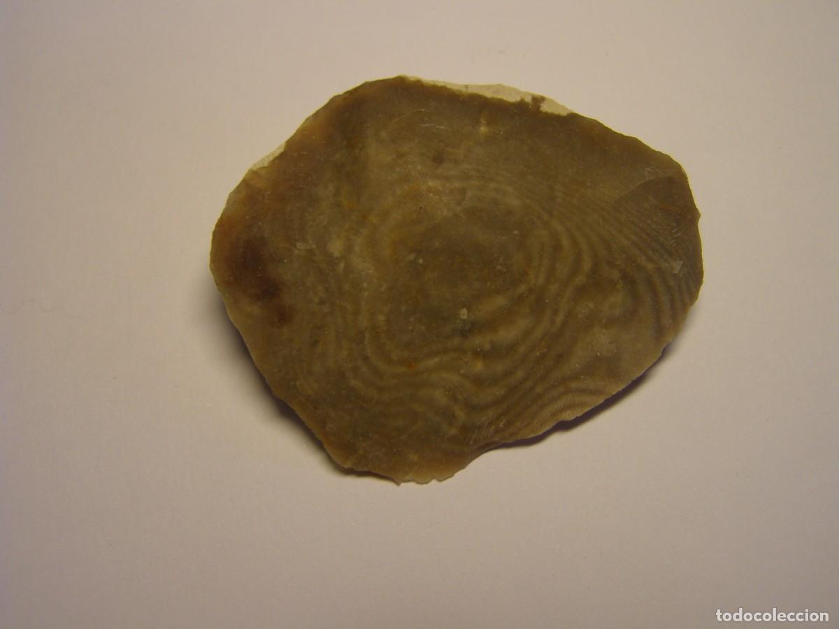 Coleccionismo de minerales: Trozo de mineral de s&iacute;lex con curiosos anillos de Liesegang.