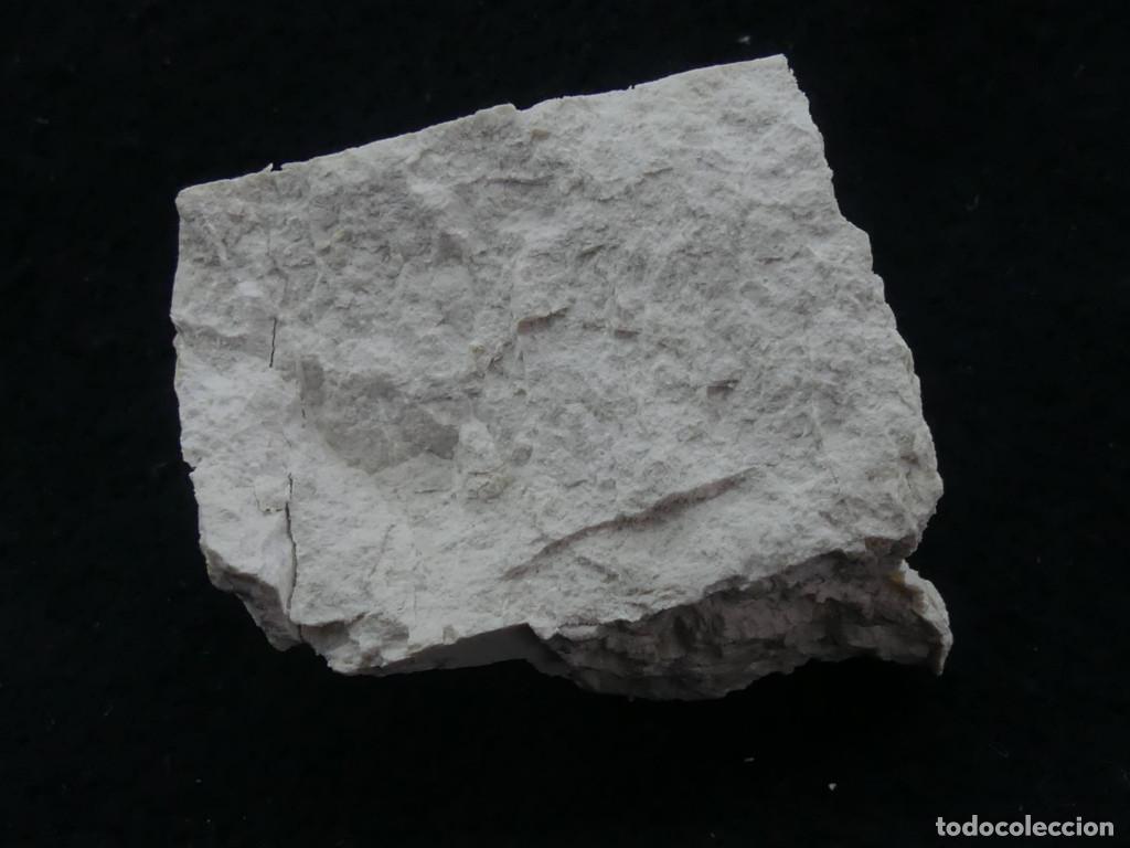 Coleccionismo de minerales: Sepiolita, Vallecas, Madrid