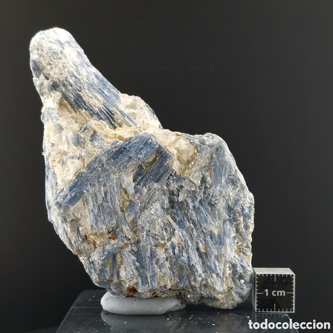 Colecionismo de minerais: Cianita Azul con Cuarzo
