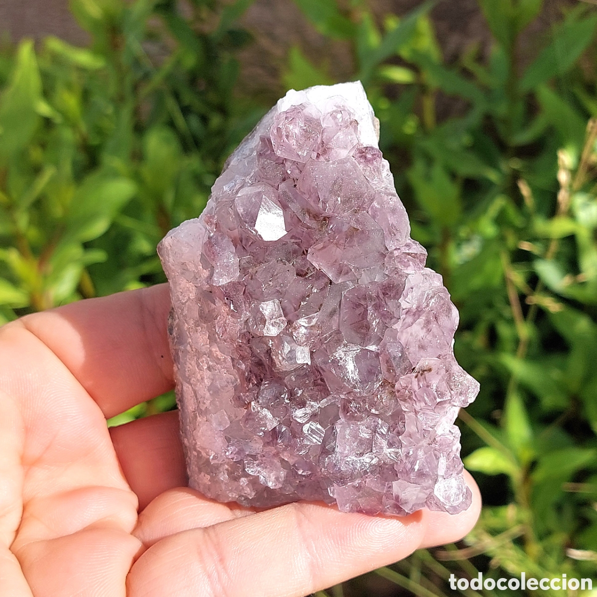 Coleccionismo de minerales: Drusa de Amatista natural procedente de Brasil