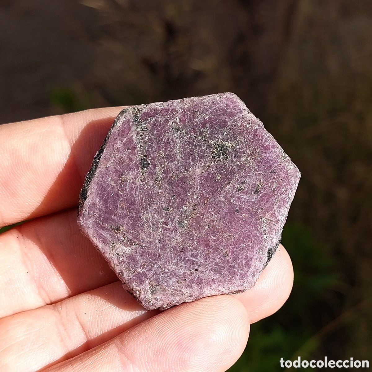 Coleccionismo de minerales: Hex&aacute;gono de Rub&iacute; Corind&oacute;n Procedente de La India