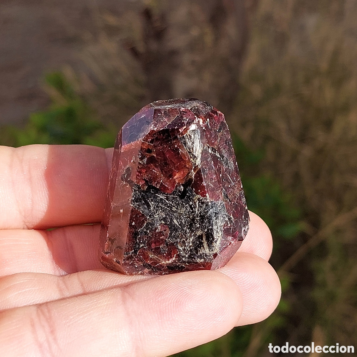 Coleccionismo de minerales: Mineral de Granate 3,9 cm Procedente de La India