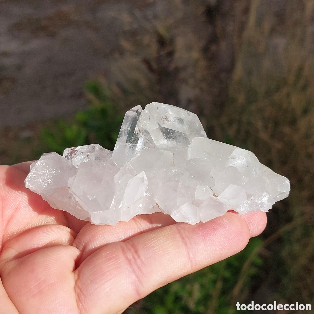 Coleccionismo de minerales: Drusa Natural de Cuarzo Cristal