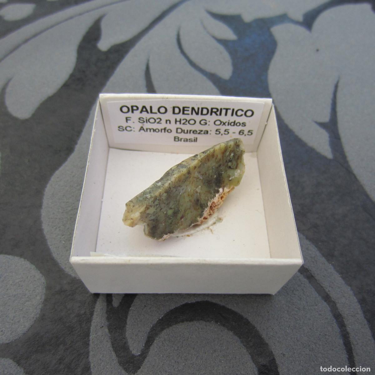 Coleccionismo de minerales: MINERAL OPALO DENDRITICO MINERALES EN CAJA 4X4 CM
