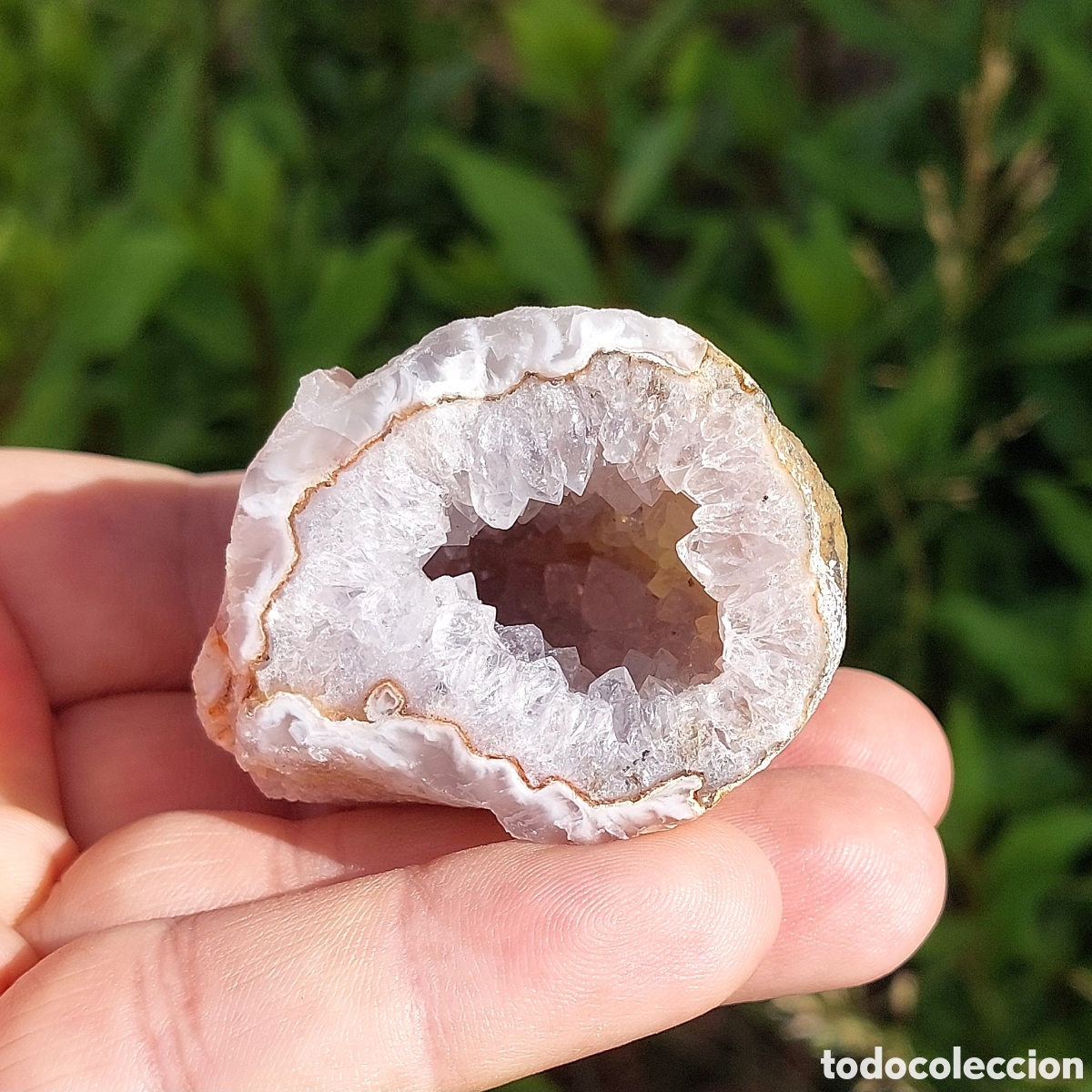 Coleccionismo de minerales: Magn&iacute;fica Geoda de &Aacute;gata y Cuarzo