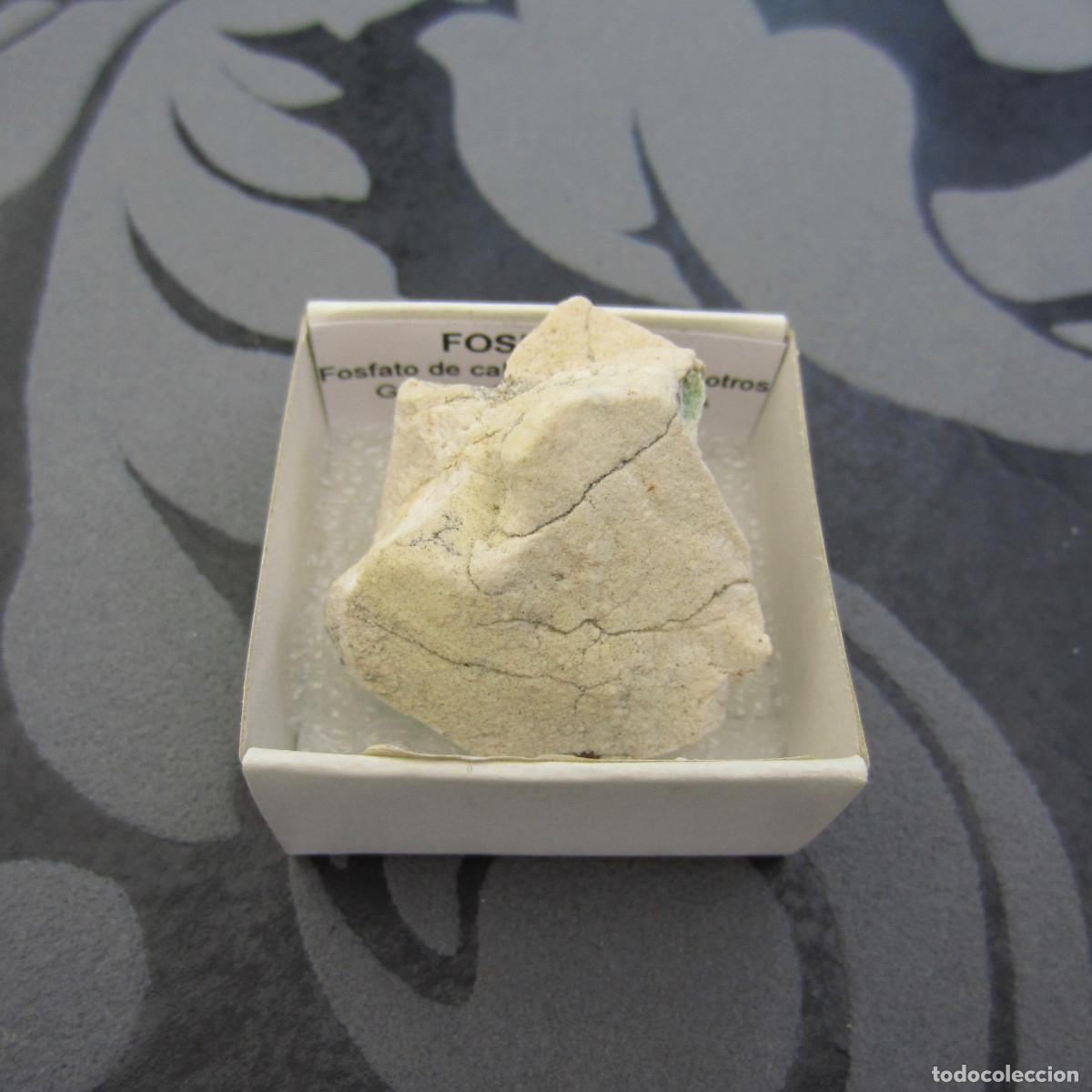 Coleccionismo de minerales: MINERAL ROCAS FOSFORITA MINERALES EN CAJA 4X4 CM
