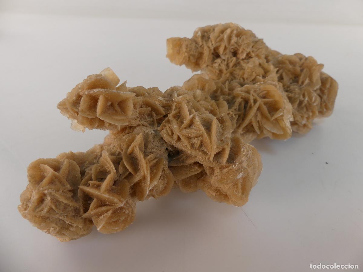 Collezionismo di minerali: MINERAL PIEDRA DE COLECCION ROSA DEL DESIERTO