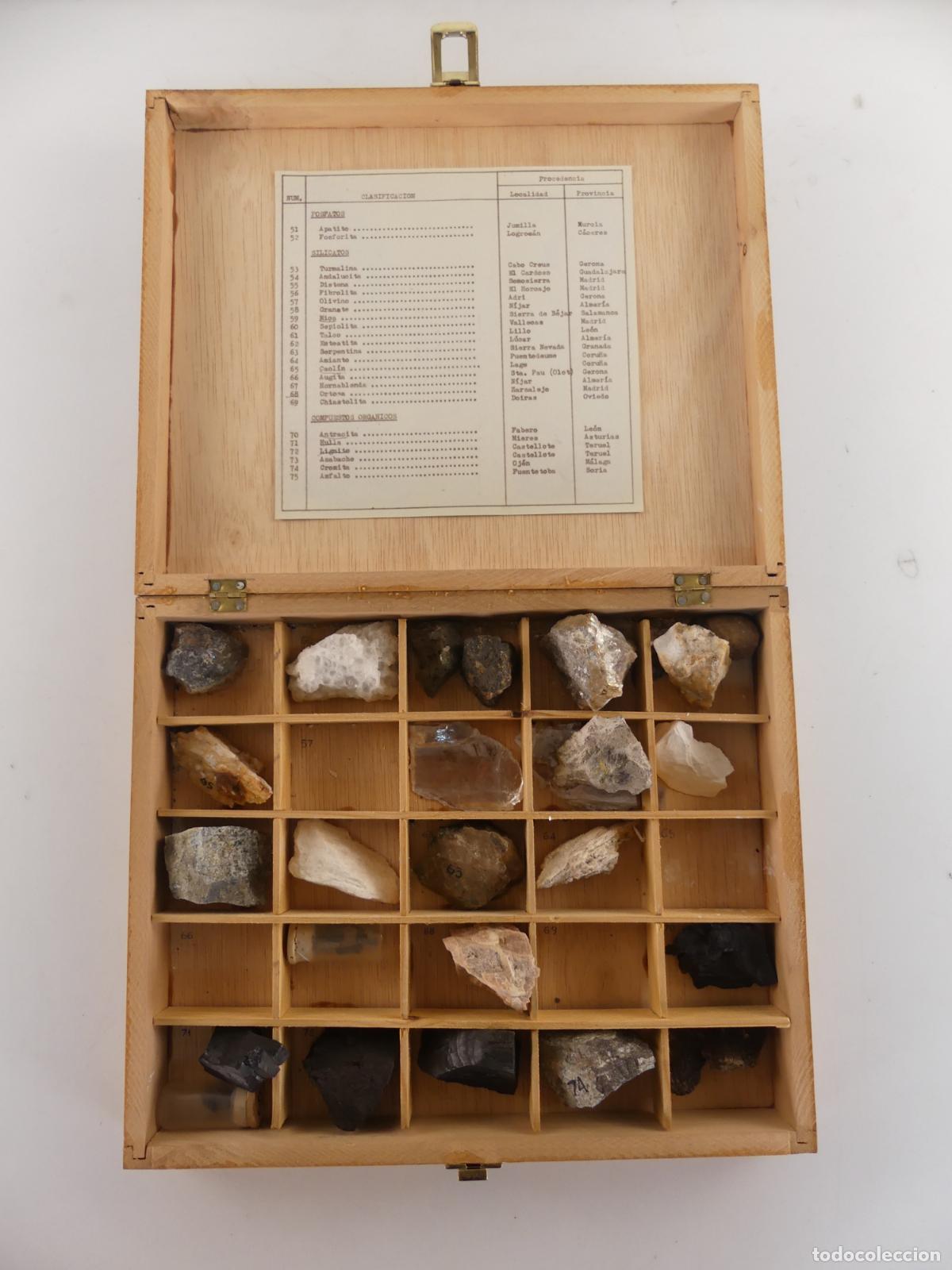 Collezionismo di minerali: CAJA CON COLECCION DE MINERALES PIEDRAS