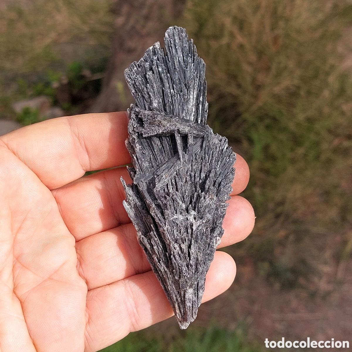 Coleccionismo de minerales: Cuarzo y &Aacute;gata Geoda Natural