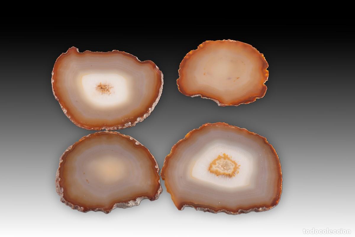 Coleccionismo de minerales: Lote de cuatro cortes de &aacute;gata pulida. Piedra.