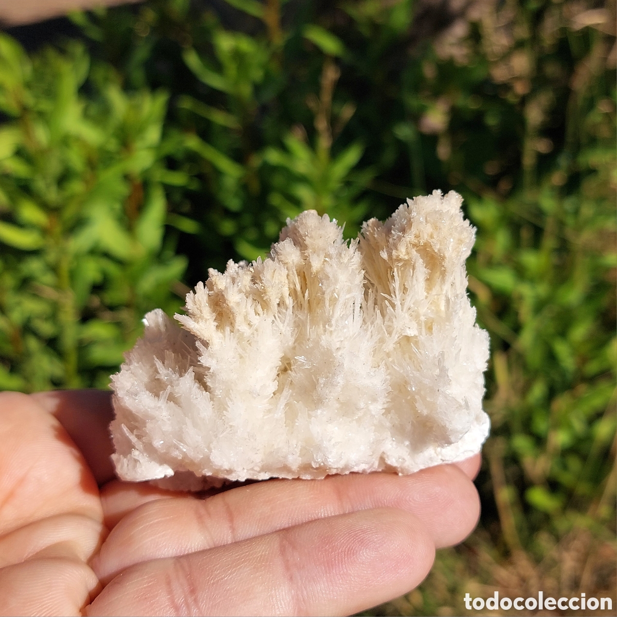 Coleccionismo de minerales: Mineral Aragonito de Macael Espa&ntilde;a