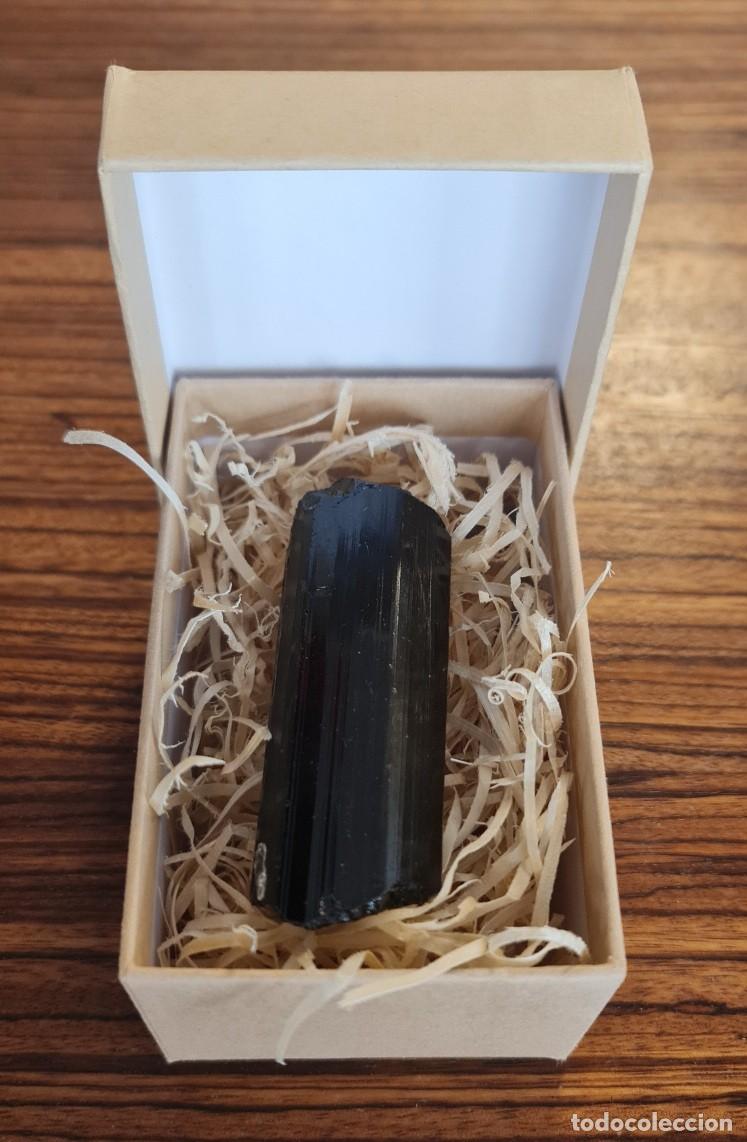 Coleccionismo de minerales: Turmalina Negra (Schorl) de Madagascar Cristal Natural de 8 cm con Terminaci&oacute;n Definida