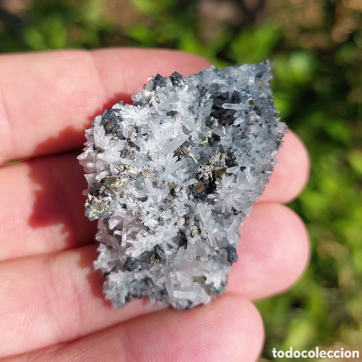 Coleccionismo de minerales: Mineral Cuarzo Pirita con Esfalerita