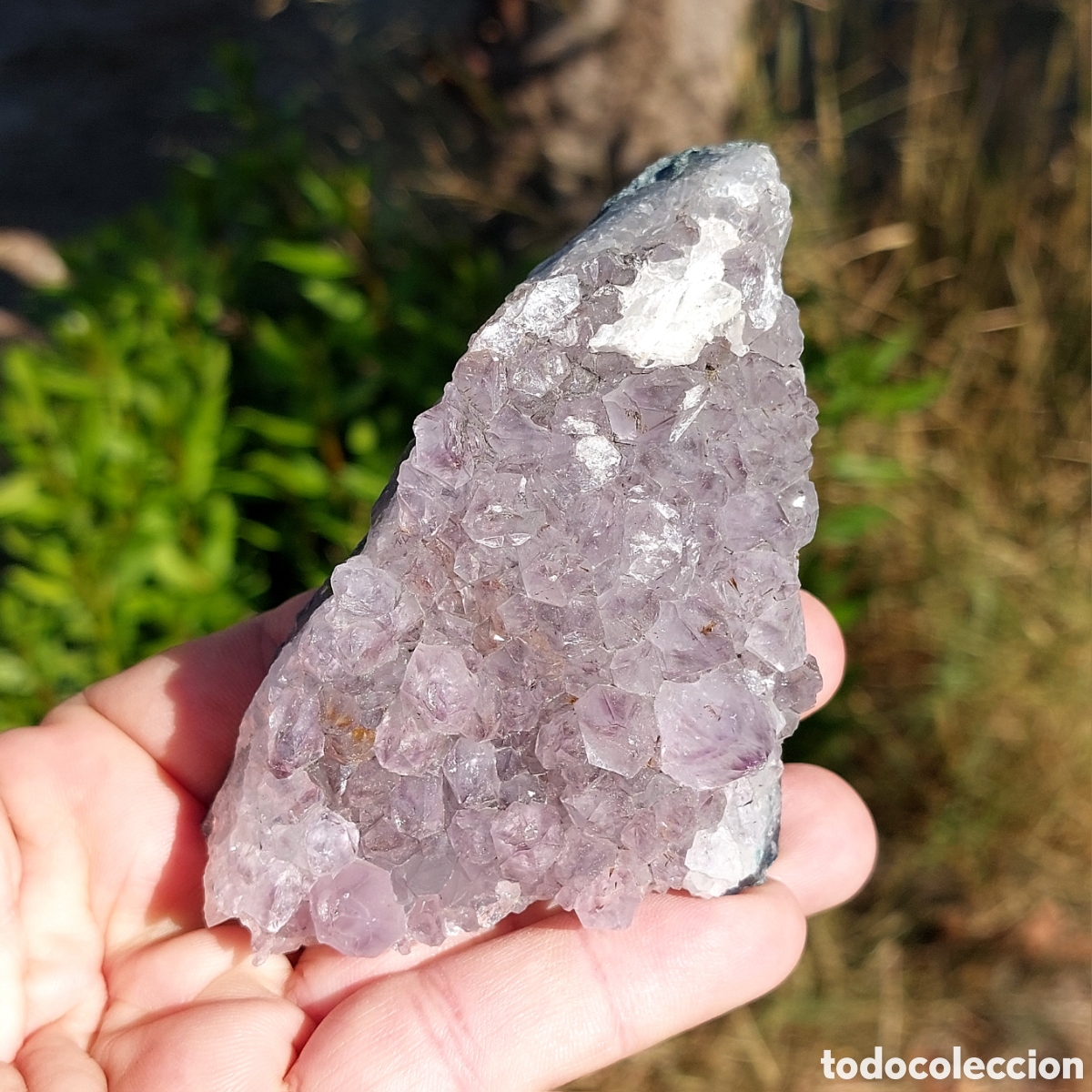 Coleccionismo de minerales: Drusa Amatista Natural de Brasil