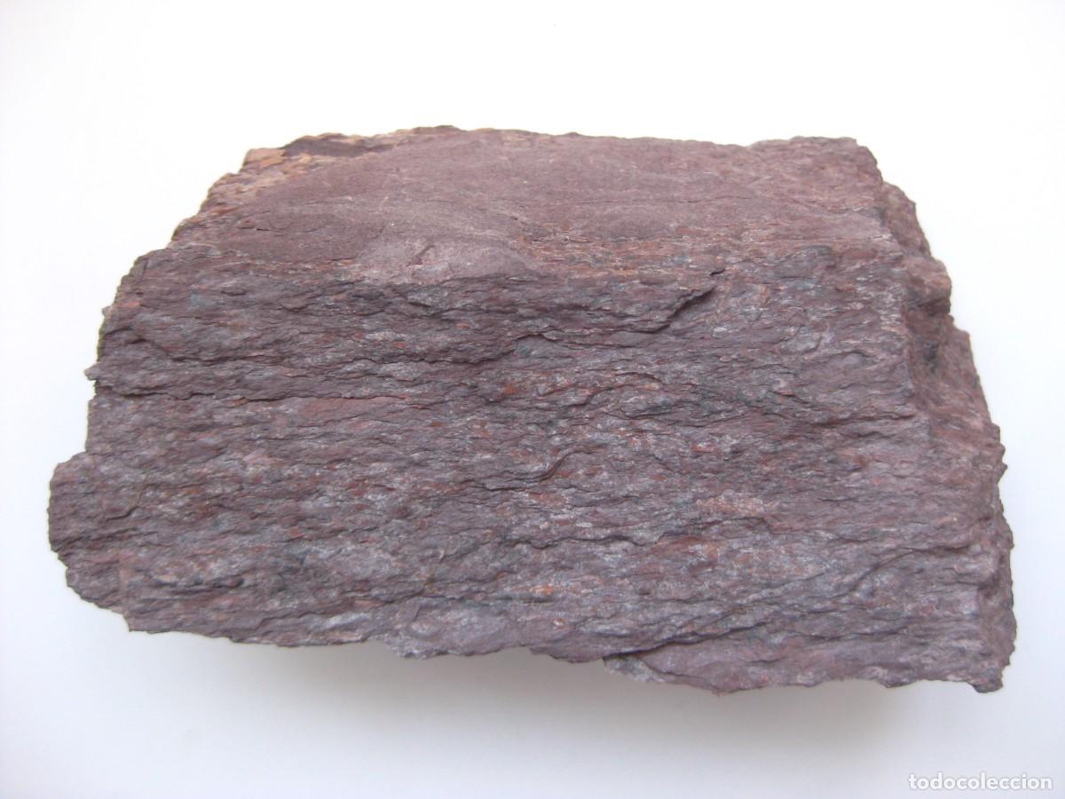 Coleccionismo de minerales: ROCA FILITA VIOLETA (AGUILAS MURCIA)