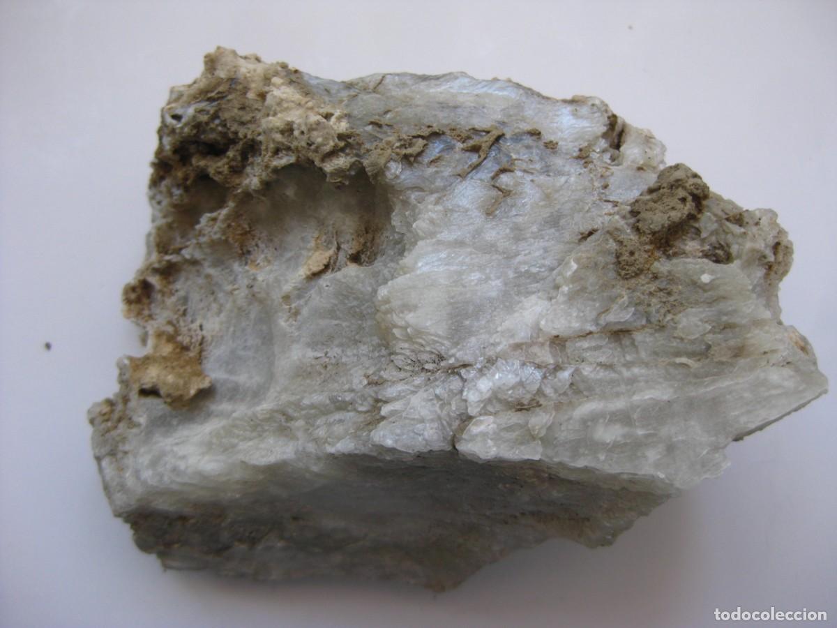 Coleccionismo de minerales: ROCA MARGA YESIFERA (YESO ESPEJUELO)
