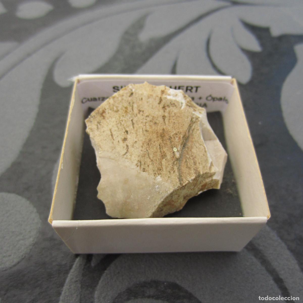 Coleccionismo de minerales: MINERAL ROCAS SILEX = CHERT MINERALES EN CAJA 4X4 CM