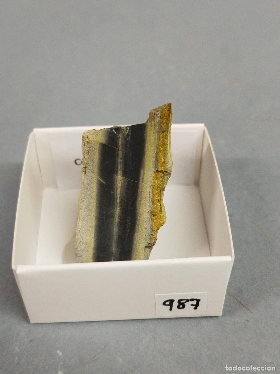 Coleccionismo de minerales: CHERT - MINERAL. Barcelona