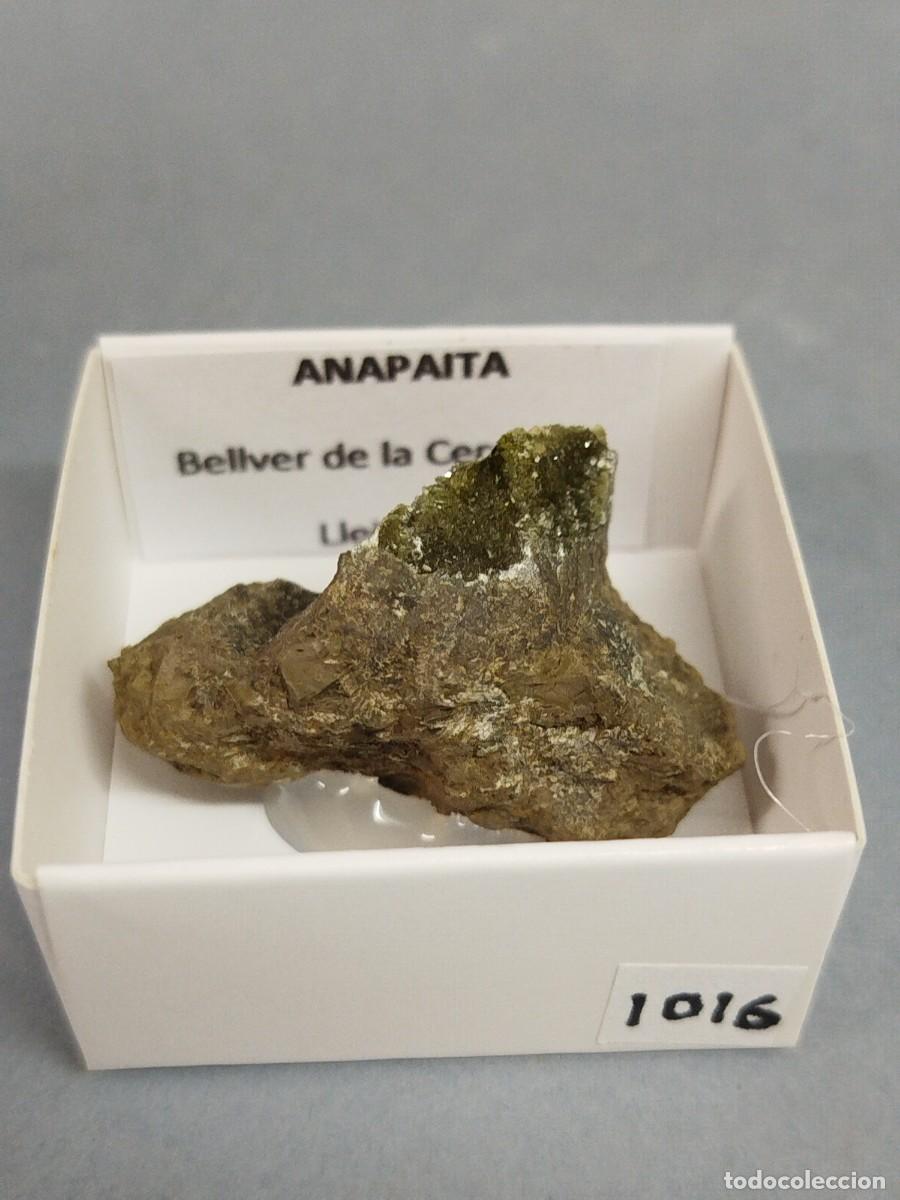 Coleccionismo de minerales: ANAPAITA - MINERAL. 4X4