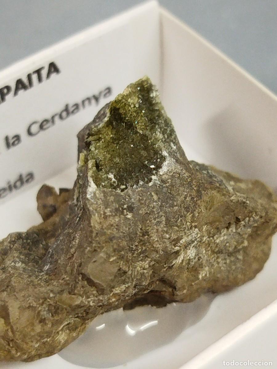 Coleccionismo de minerales: ANAPAITA - MINERAL. 4X4 - Foto 2