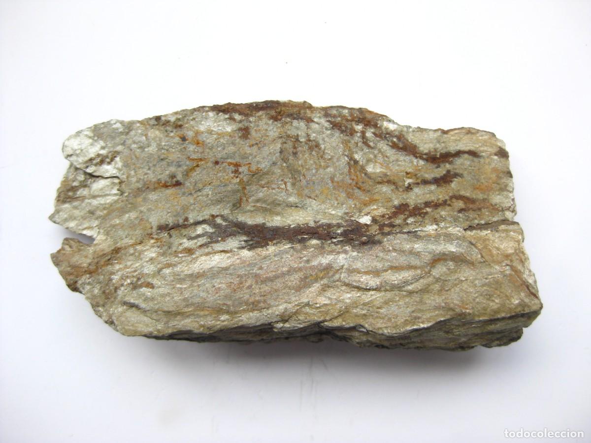 Coleccionismo de minerales: ROCA MICAESQUISTO GRIS VERDOSO