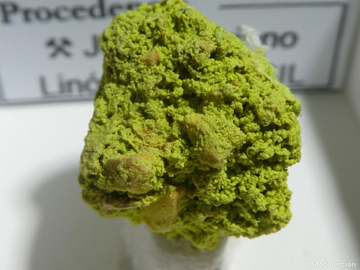 Coleccionismo de minerales: (011) NONTRONITA, LIN&Oacute;POLIS, BRASIL.