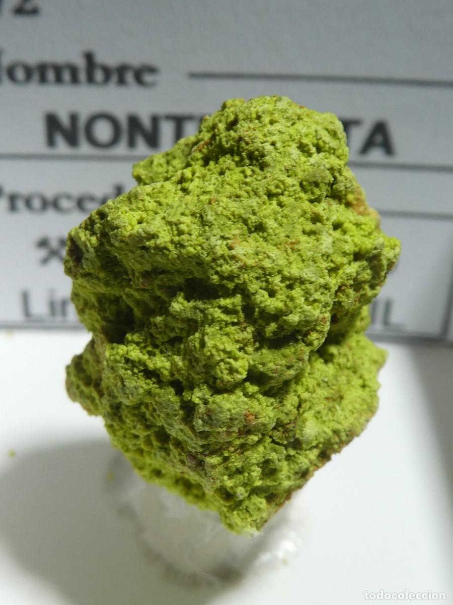 Coleccionismo de minerales: (172) NONTRONITA, LIN&Oacute;POLIS, BRASIL.