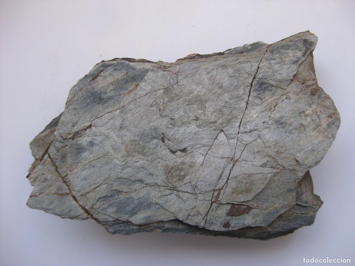 Coleccionismo de minerales: ROCA FILITA GRIS (AGUILAS MURCIA)