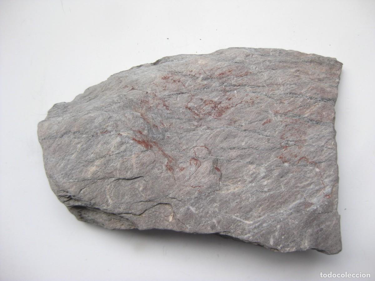 Coleccionismo de minerales: ROCA FILITA VIOLETA (CARTAGENA)