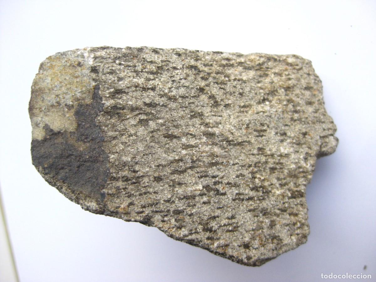 Coleccionismo de minerales: ROCA MICACITA MOTEADA (ESQUISTO MICACEO)