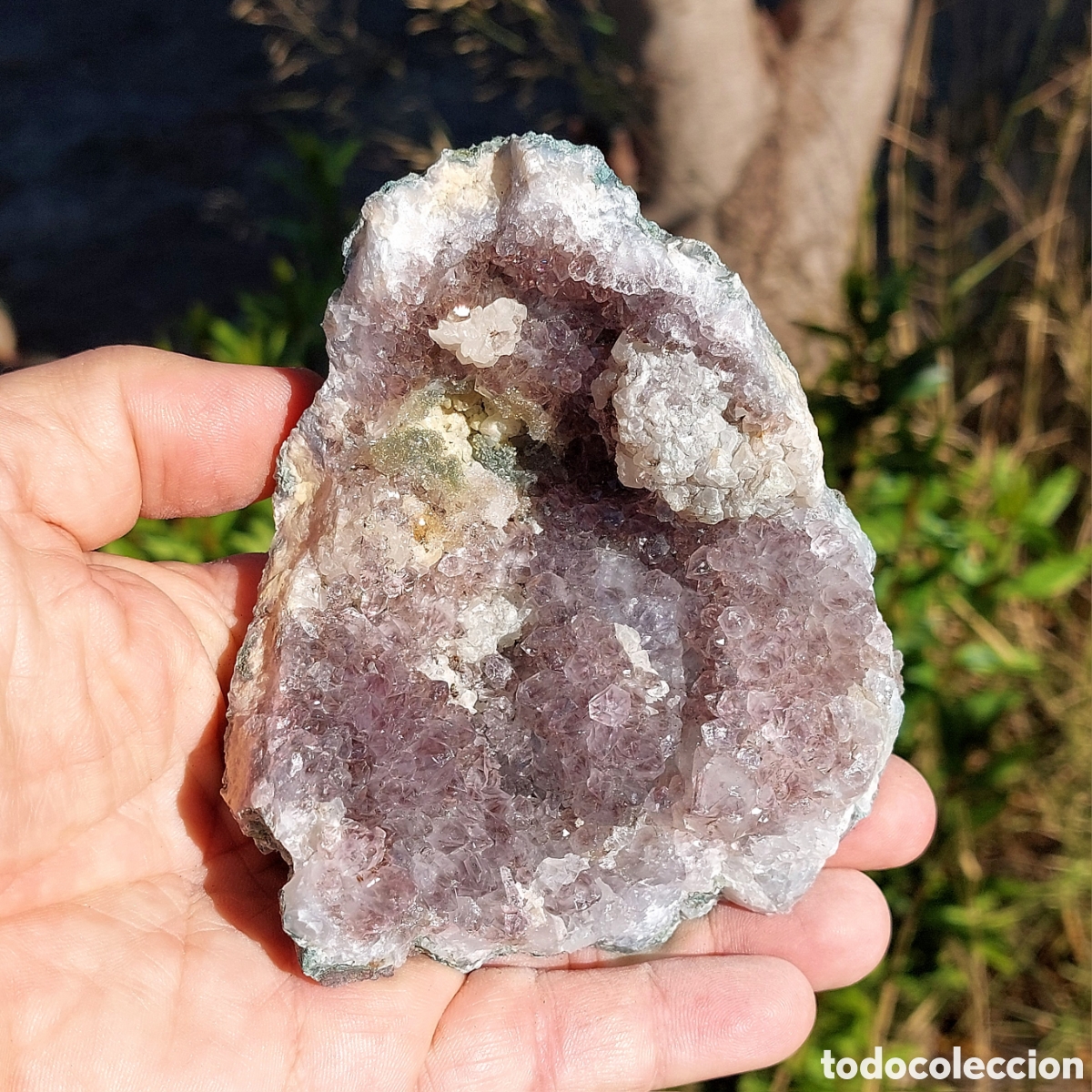 Coleccionismo de minerales: Amatista Natural Drusa muy Original