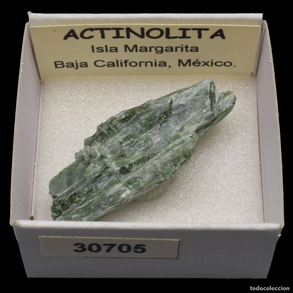 Coleccionismo de minerales: ACTINOLITA (Isla Margarita, Baja California, Mexico) #30705