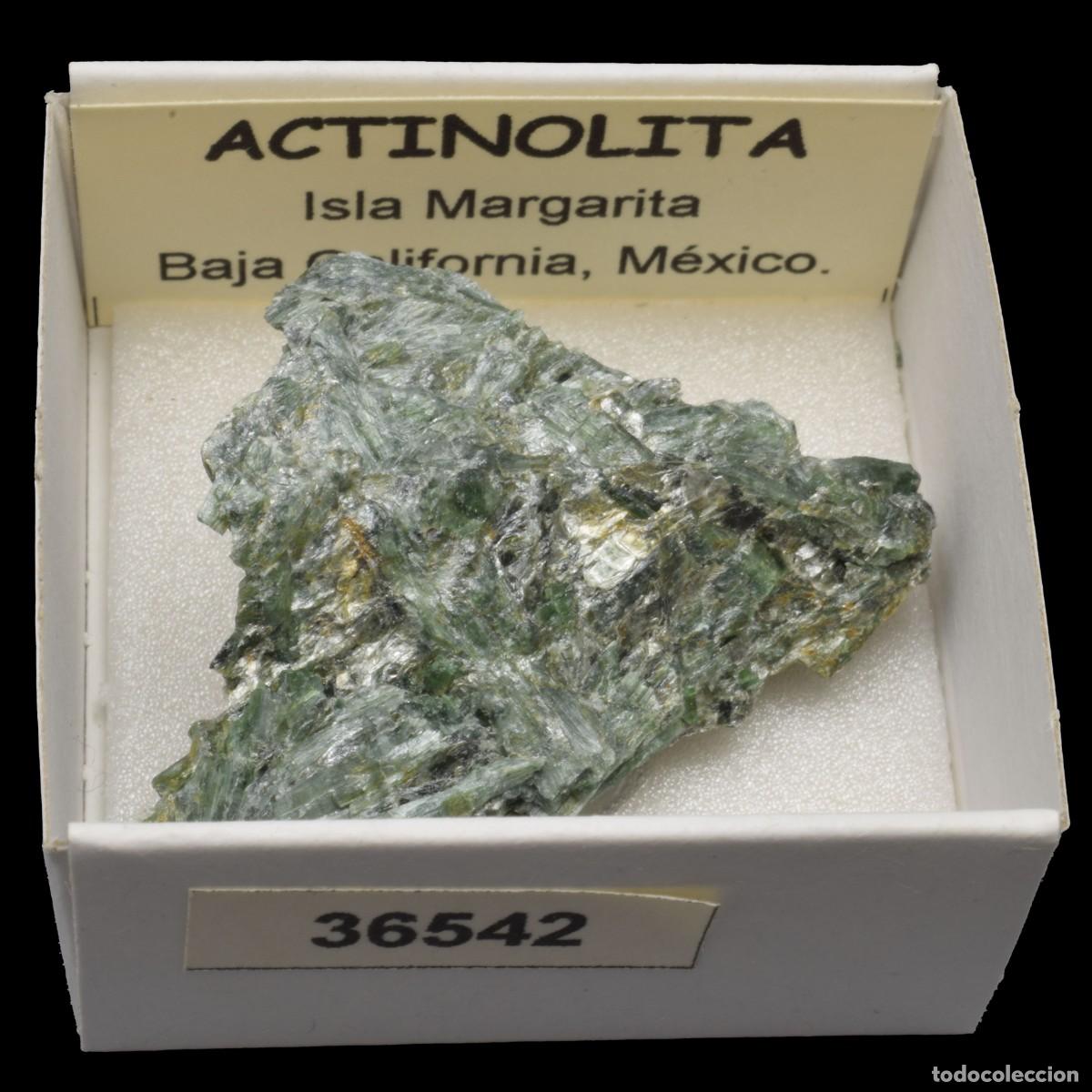 Coleccionismo de minerales: ACTINOLITA (Isla Margarita, Baja California, Mexico) #36542