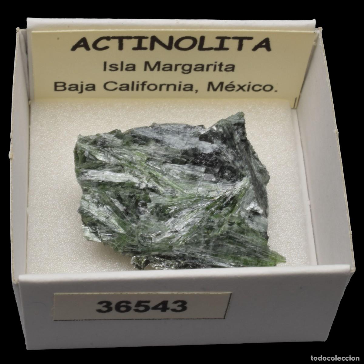 Coleccionismo de minerales: ACTINOLITA (Isla Margarita, Baja California, Mexico) #36543