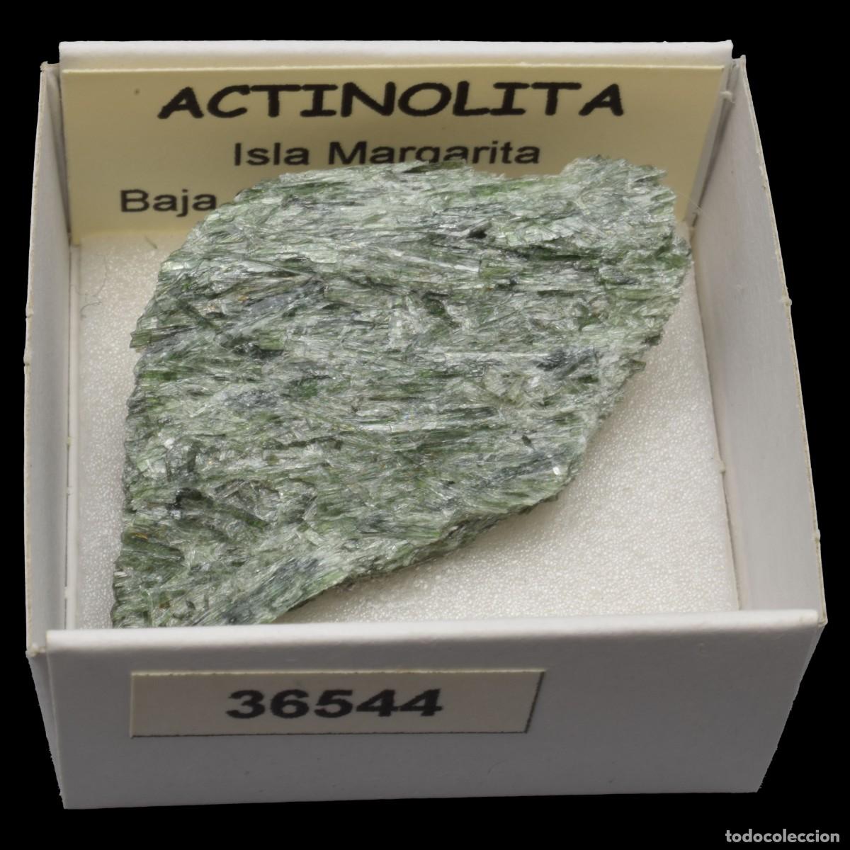 Coleccionismo de minerales: ACTINOLITA (Isla Margarita, Baja California, Mexico) #36544