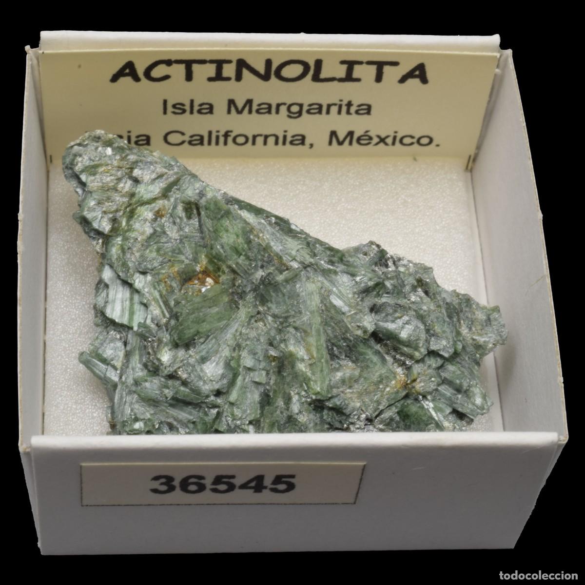 Coleccionismo de minerales: ACTINOLITA (Isla Margarita, Baja California, Mexico) #36545