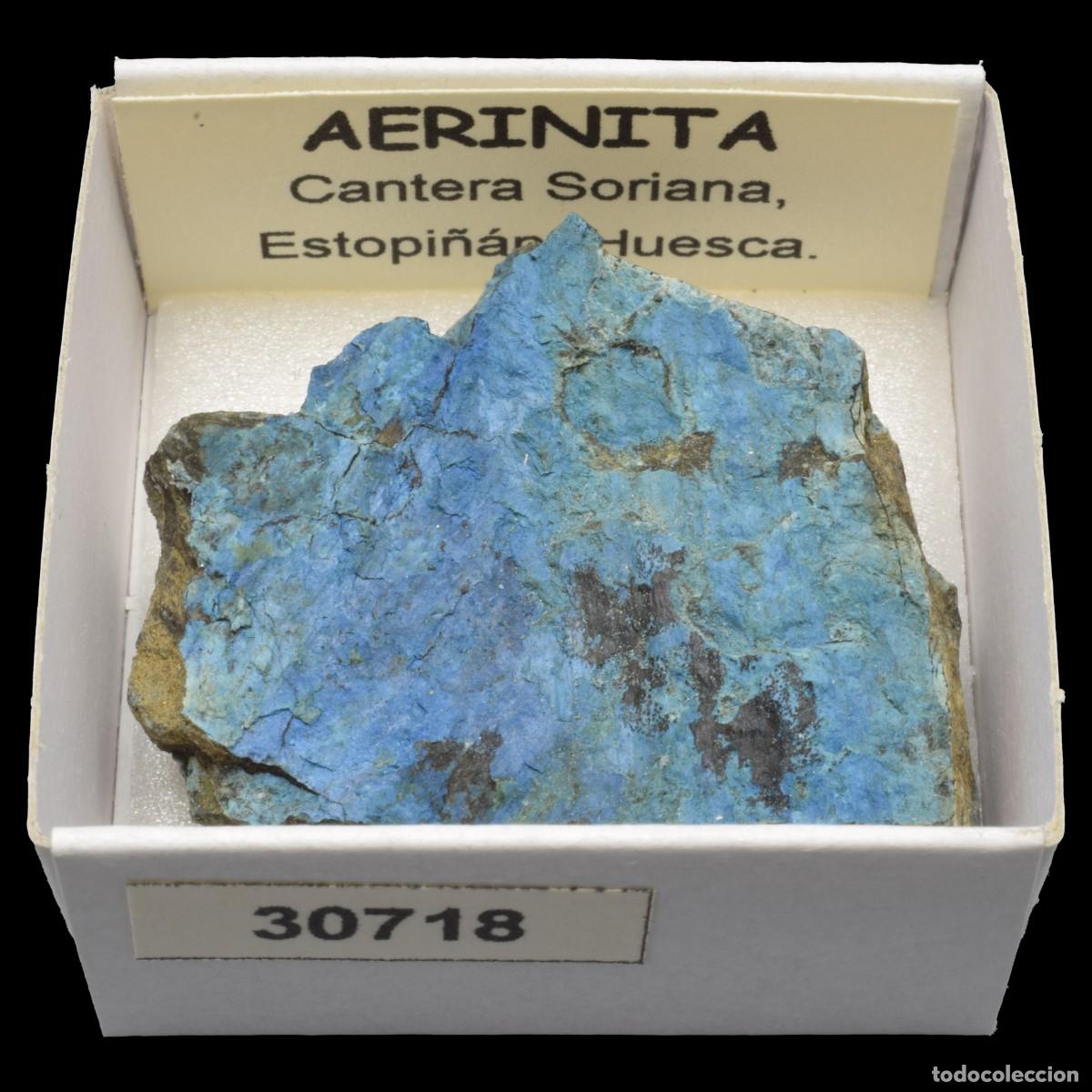 Sammlung von Mineralien: AERINITA (Cantera Soriana, Estopi&ntilde;an, Huesca, Espa&ntilde;a) #30718