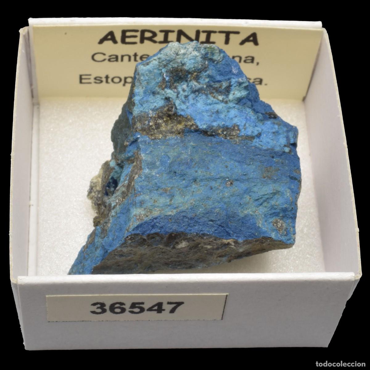 Sammlung von Mineralien: AERINITA (Cantera Soriana, Estopi&ntilde;an, Huesca, Espa&ntilde;a) #36547