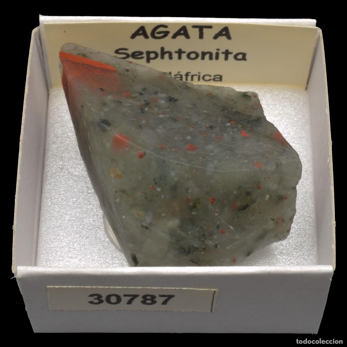 Sammlung von Mineralien: AGATA Sephtonita (Sudafrica) #30787