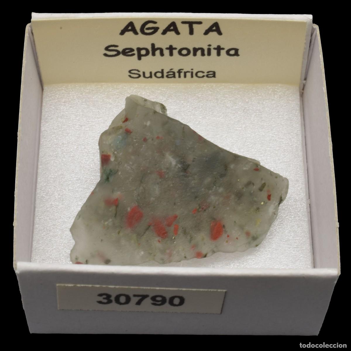 Sammlung von Mineralien: AGATA Sephtonita (Sudafrica) #30790
