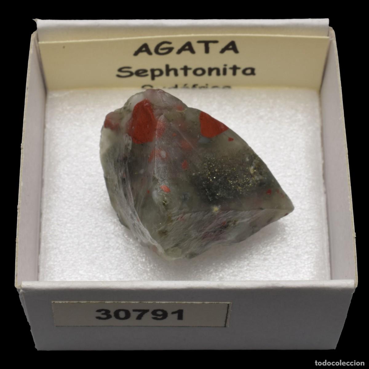 Sammlung von Mineralien: AGATA Sephtonita (Sudafrica) #30791