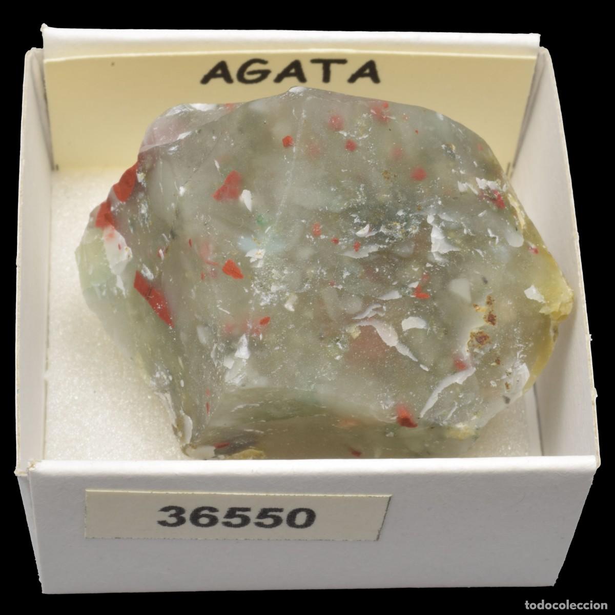 Sammlung von Mineralien: AGATA Sephtonita (Sudafrica) #36550