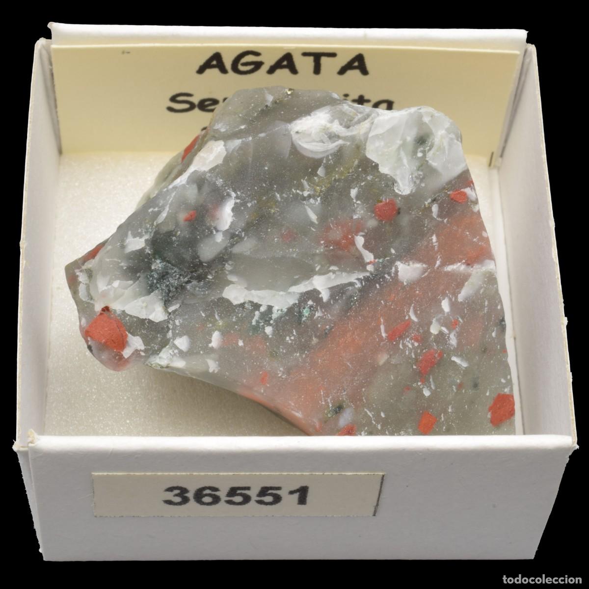 Sammlung von Mineralien: AGATA Sephtonita (Sudafrica) #36551