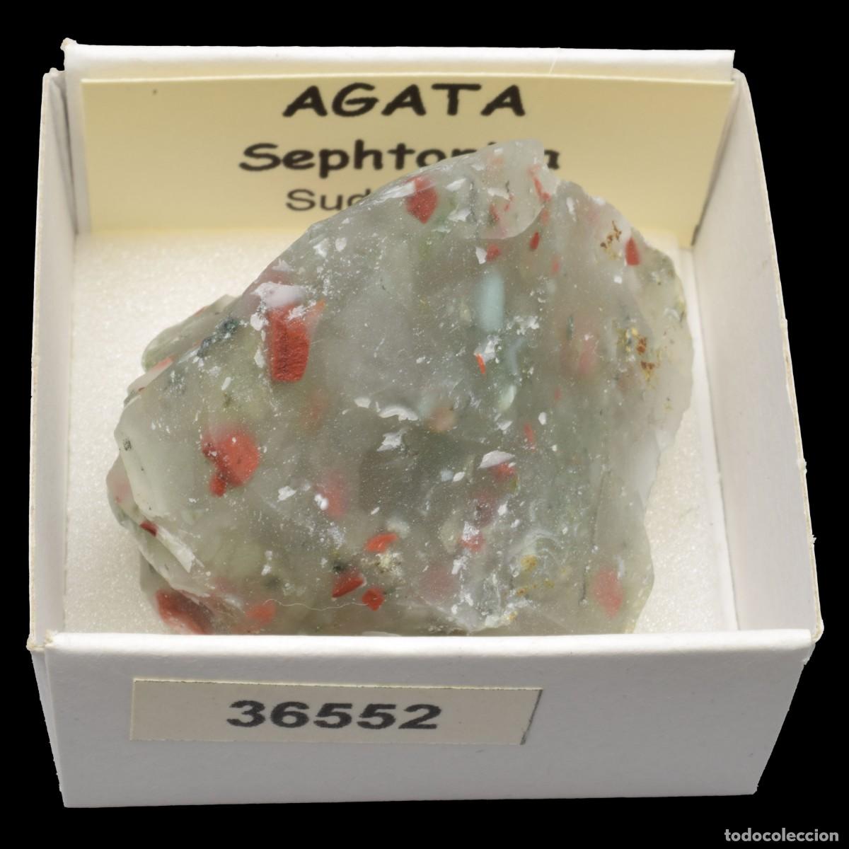 Collezionismo di minerali: AGATA Sephtonita (Sudafrica) #36552