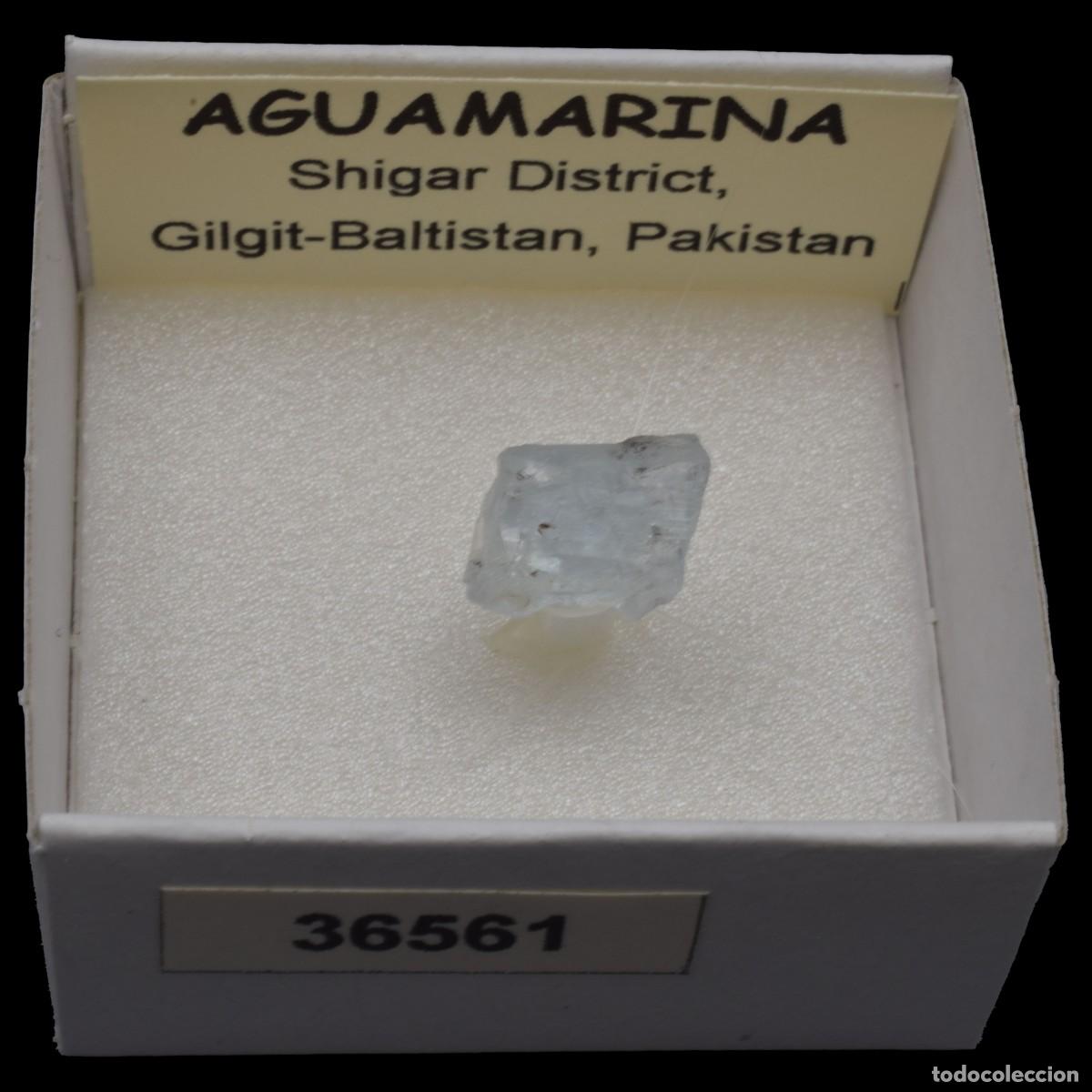 Coleccionismo de minerales: AGUAMARINA (Shigar district, Gilgit-Baltistan, Pakistan) #36561