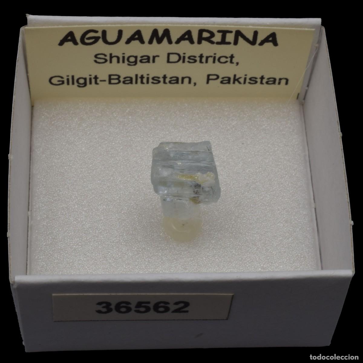 Coleccionismo de minerales: AGUAMARINA (Shigar district, Gilgit-Baltistan, Pakistan) #36562