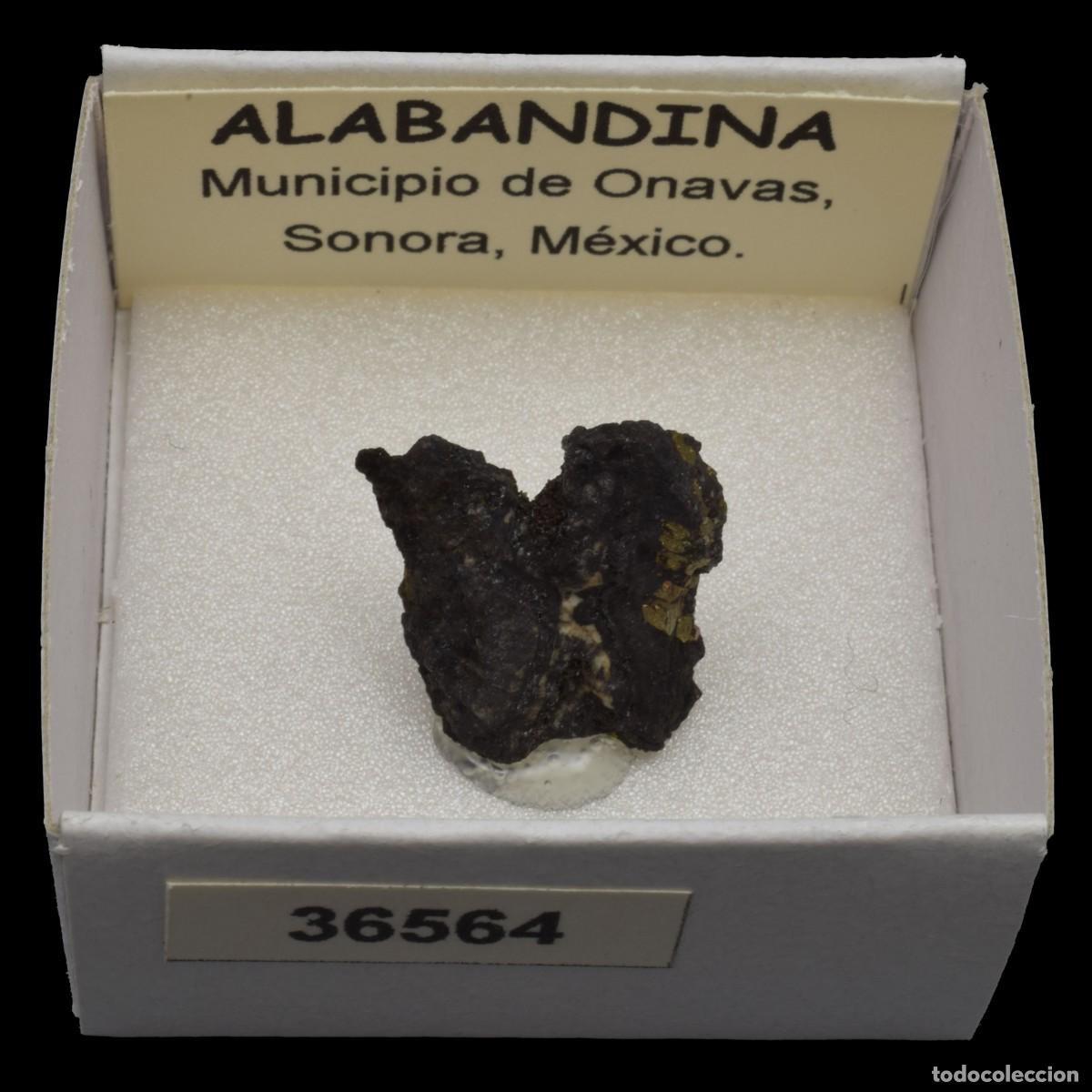 Coleccionismo de minerales: ALABANDINA (Municipio de Onavas, Sonora, M&eacute;xico) #36564