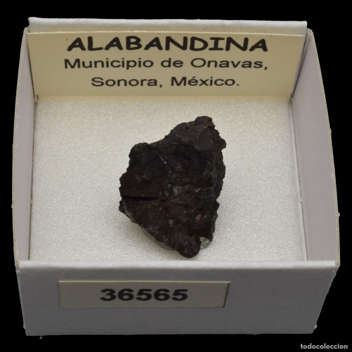 Coleccionismo de minerales: ALABANDINA (Municipio de Onavas, Sonora, M&eacute;xico) #36565