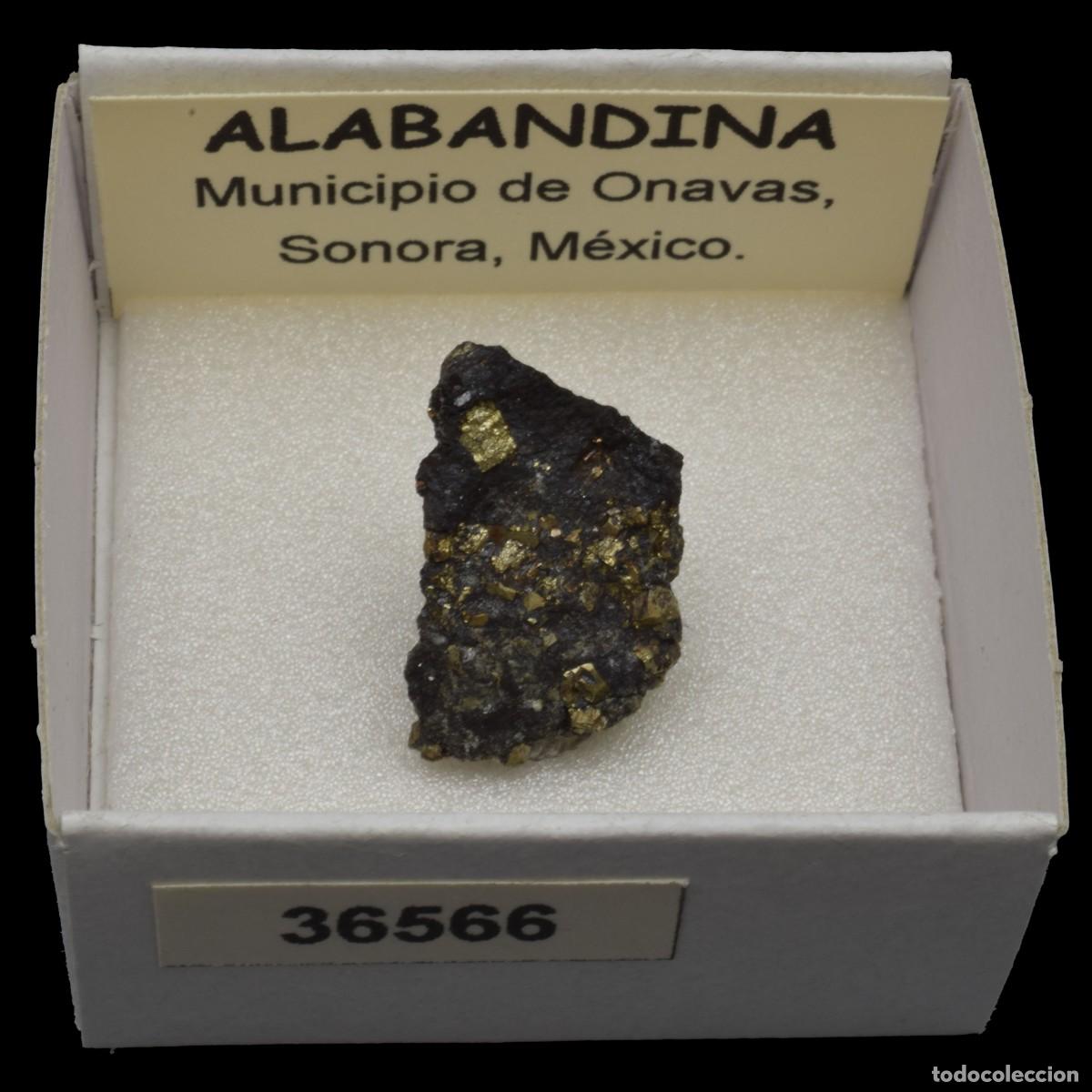 Coleccionismo de minerales: ALABANDINA (Municipio de Onavas, Sonora, M&eacute;xico) #36566