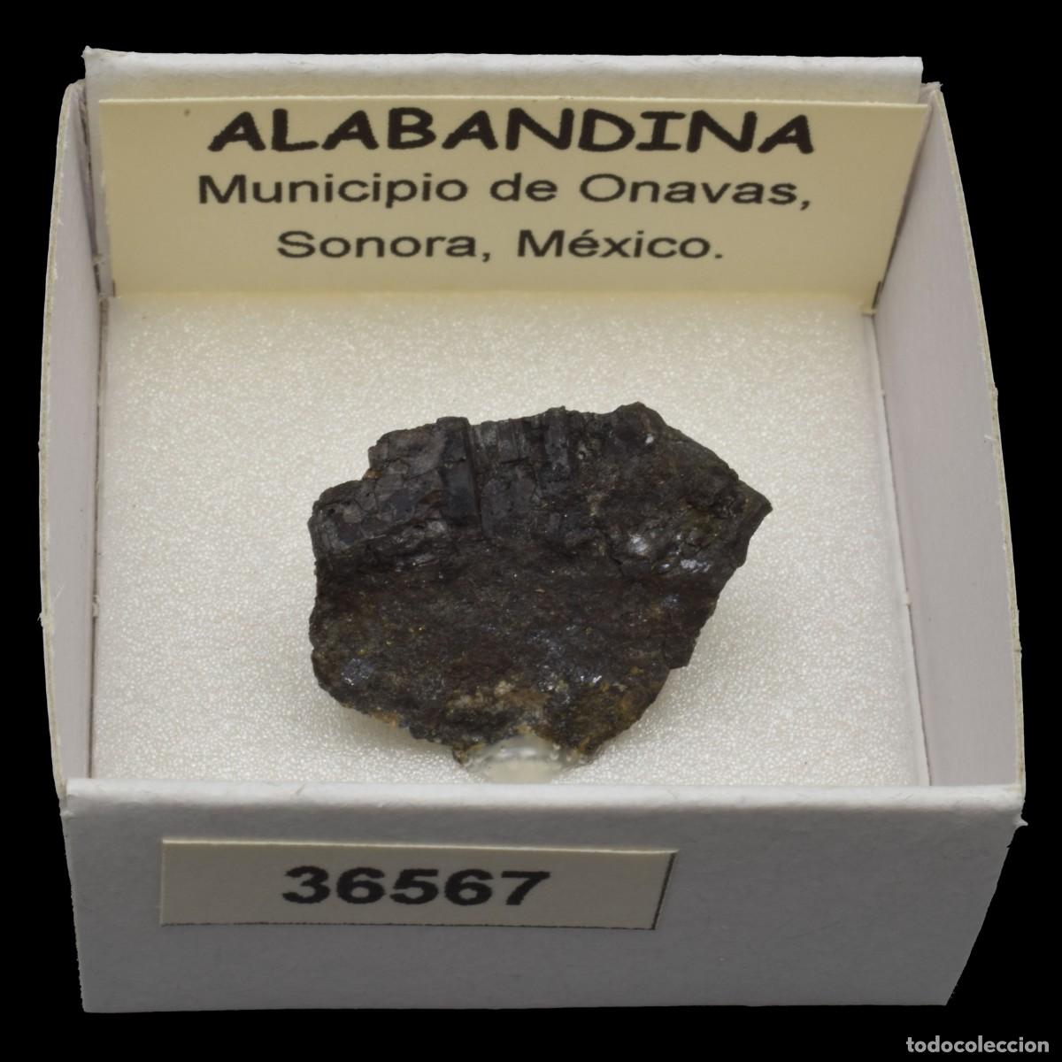 Coleccionismo de minerales: ALABANDINA (Municipio de Onavas, Sonora, M&eacute;xico) #36567